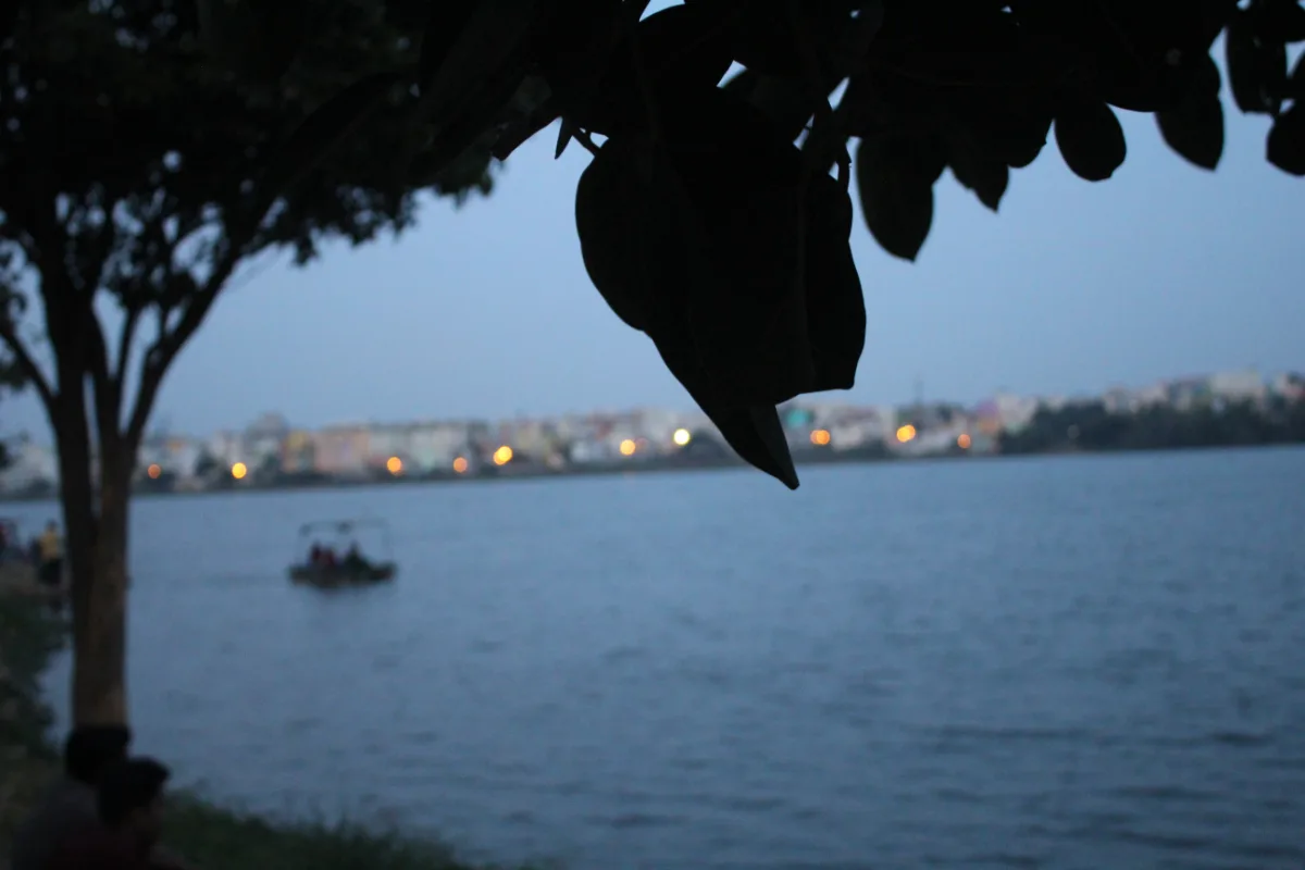 landscape