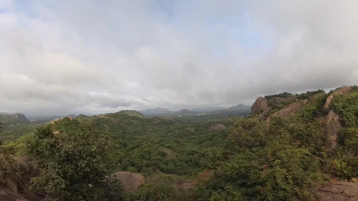 timelaps nature
