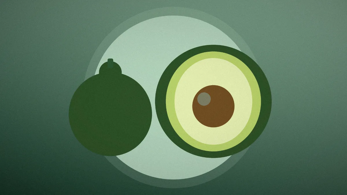 food 04 avocado half