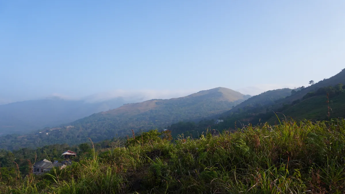 Landscape