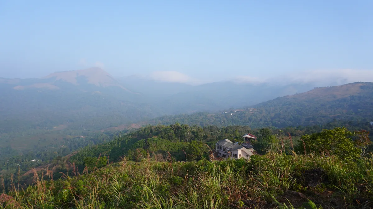 Landscape