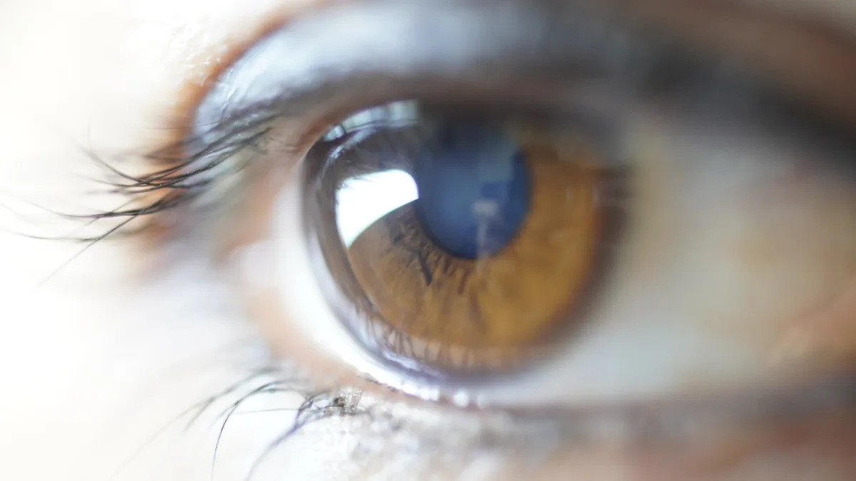 Beautiful Eye
